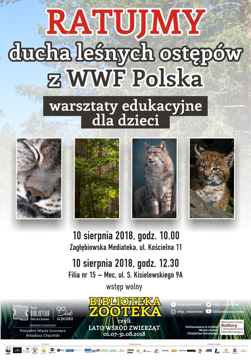 Ratujmy ducha leśnych ostępów z WWF Polska – warsztaty