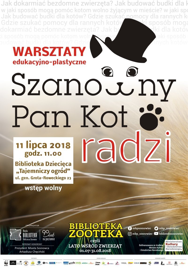 SZANOWNY PAN KOT plakat lato2018