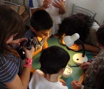 Sztuka mikroskopowania - warsztaty dla dzieci i dorosłych