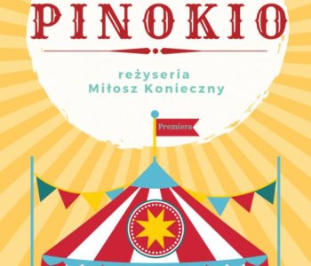 Pinokio w Teatrze Żelaznym w Katowicach