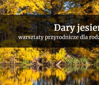 Dary jesieni | warsztaty przyrodnicze w parku wilanowskim
