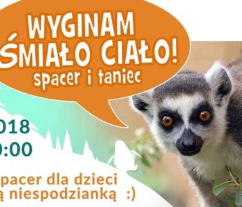 Wyginam śmiało ciało: spacer i taniec w Zoo