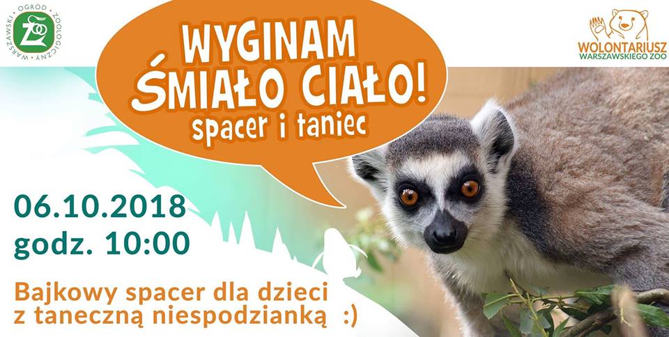 Wyginam śmiało ciało: spacer i taniec w Zoo