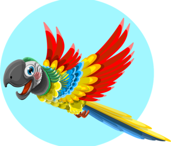 Papuga pixabay