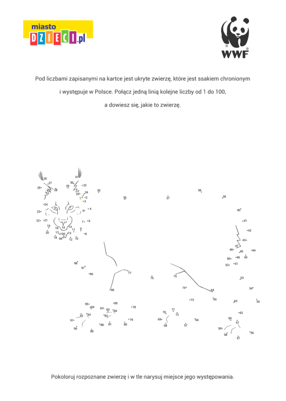 Rysowanie po linii ślady zwierząt, zabawa dla dzieci do