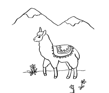 Lama w górach