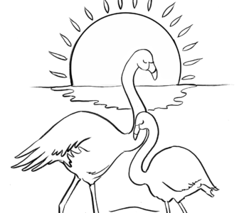 Flamingi – mama i dziecko