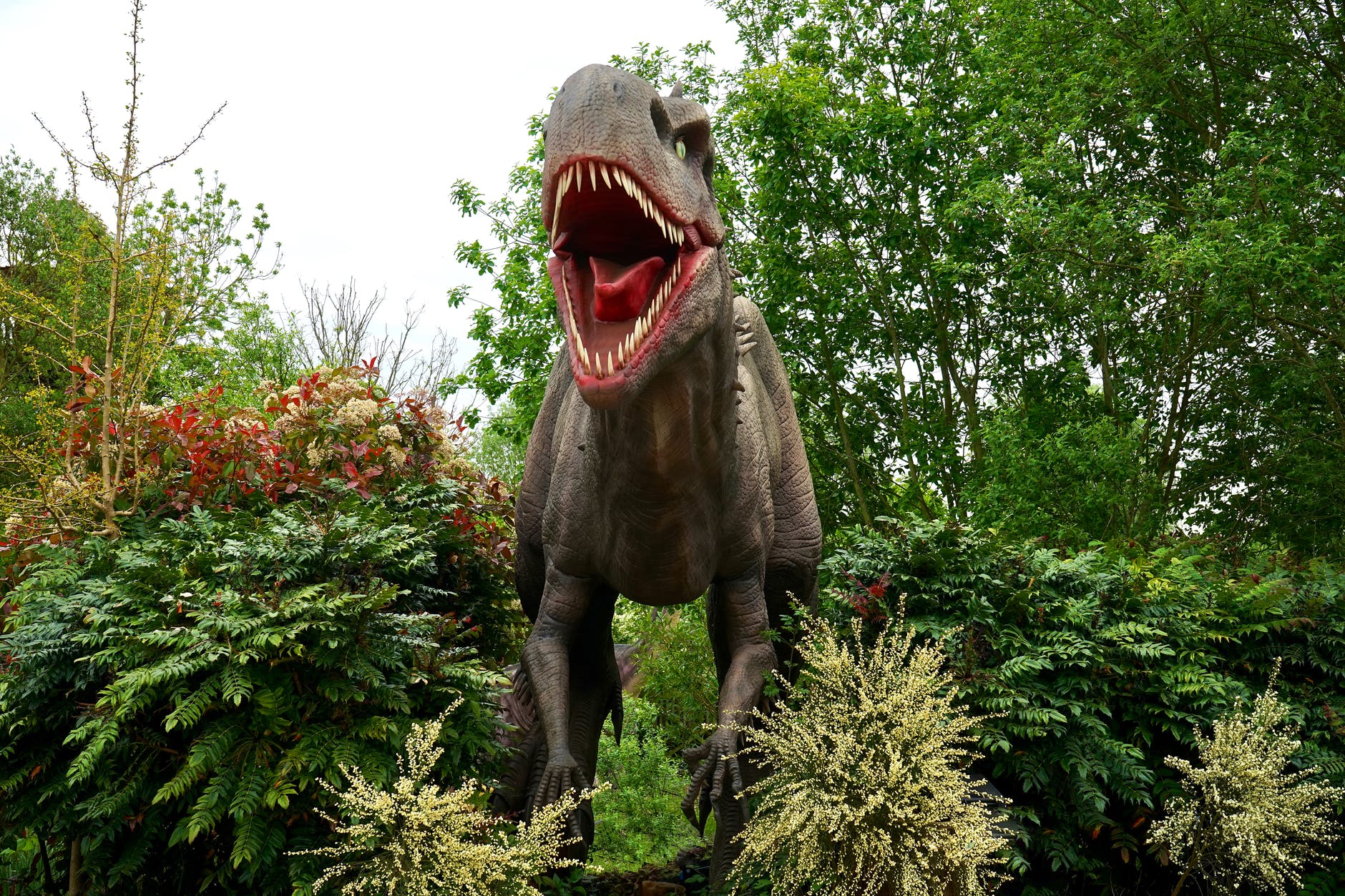 Jurassic World – fascynujący świat dinozaurów w pięciu wydaniach