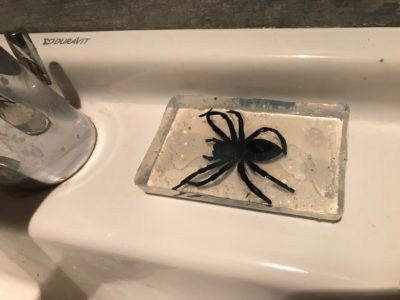 mydło z pająkiem w łazience