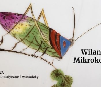 Wilanowski Mikrokosmos - rodzinny spacer po wystawie