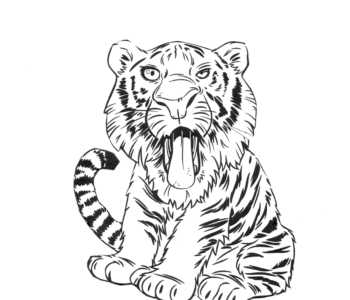 tygrys kolorowanka online do druku