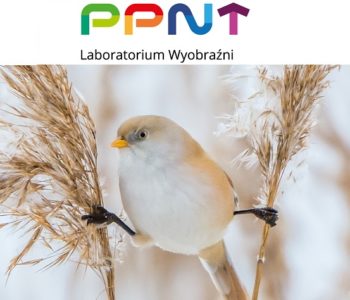 Poznaj ptasie przysmaki w Laboratorium Wyobraźni