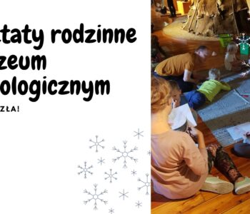 Warsztaty rodzinne w Muzeum Miejskim Wrocławia - Nasza zima zła!