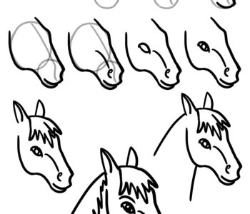 Jak narysować głowę konia krok po kroku instrukcja rysowania portretu konia do druku