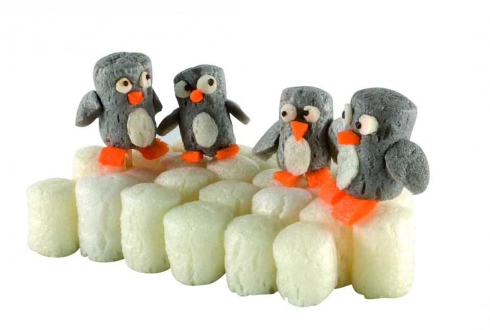 Strefa zabawy: Na Antarktydzie u pingwinów