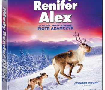 Młody renifer Alex – już na DVD