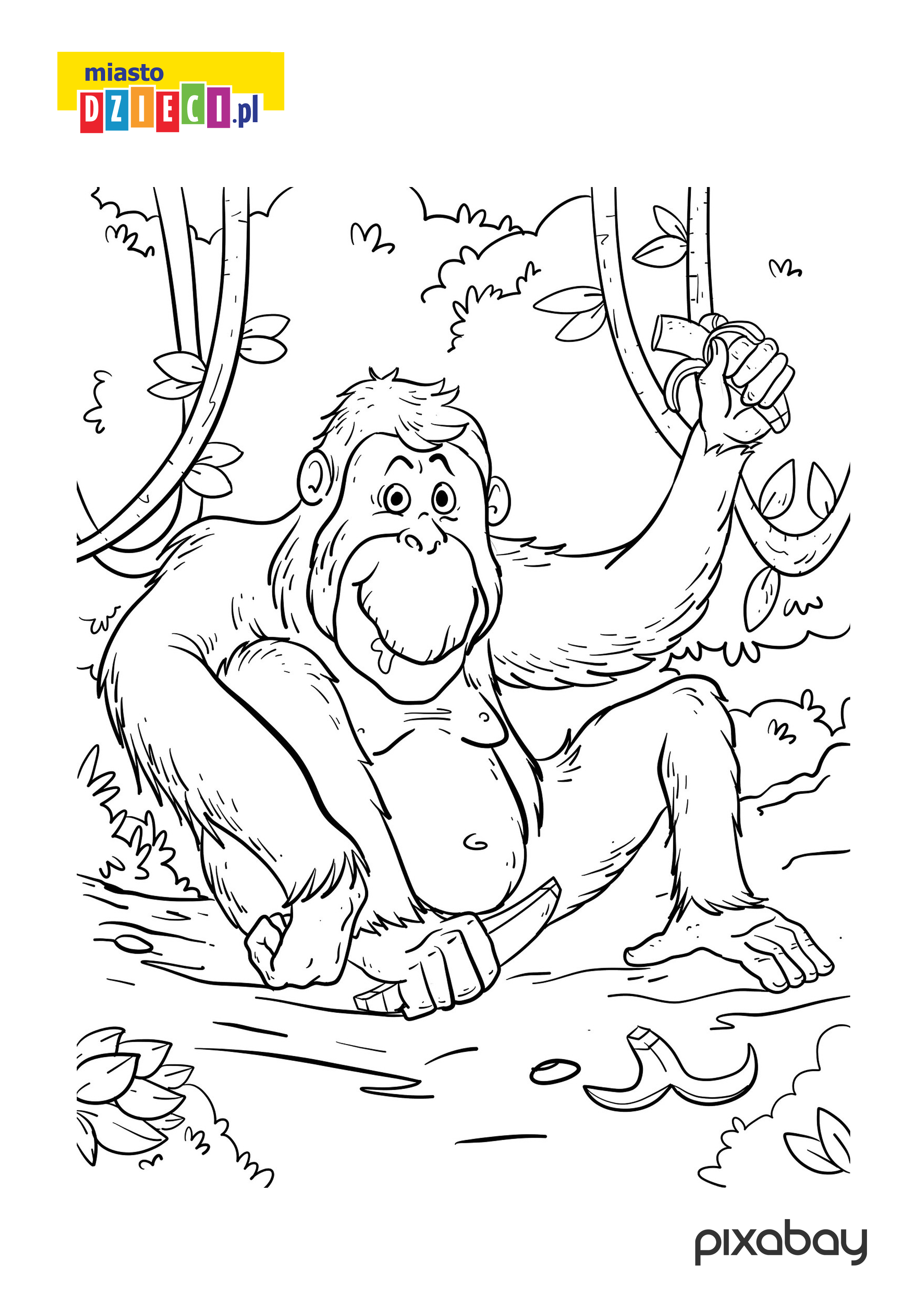las deszczowy małpa kolorowanka do druku dla dzieci
