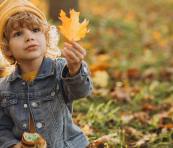 Quiz o jesieni dla dzieci, darmowe testy wiedzy o jesieni z odpowiedziami