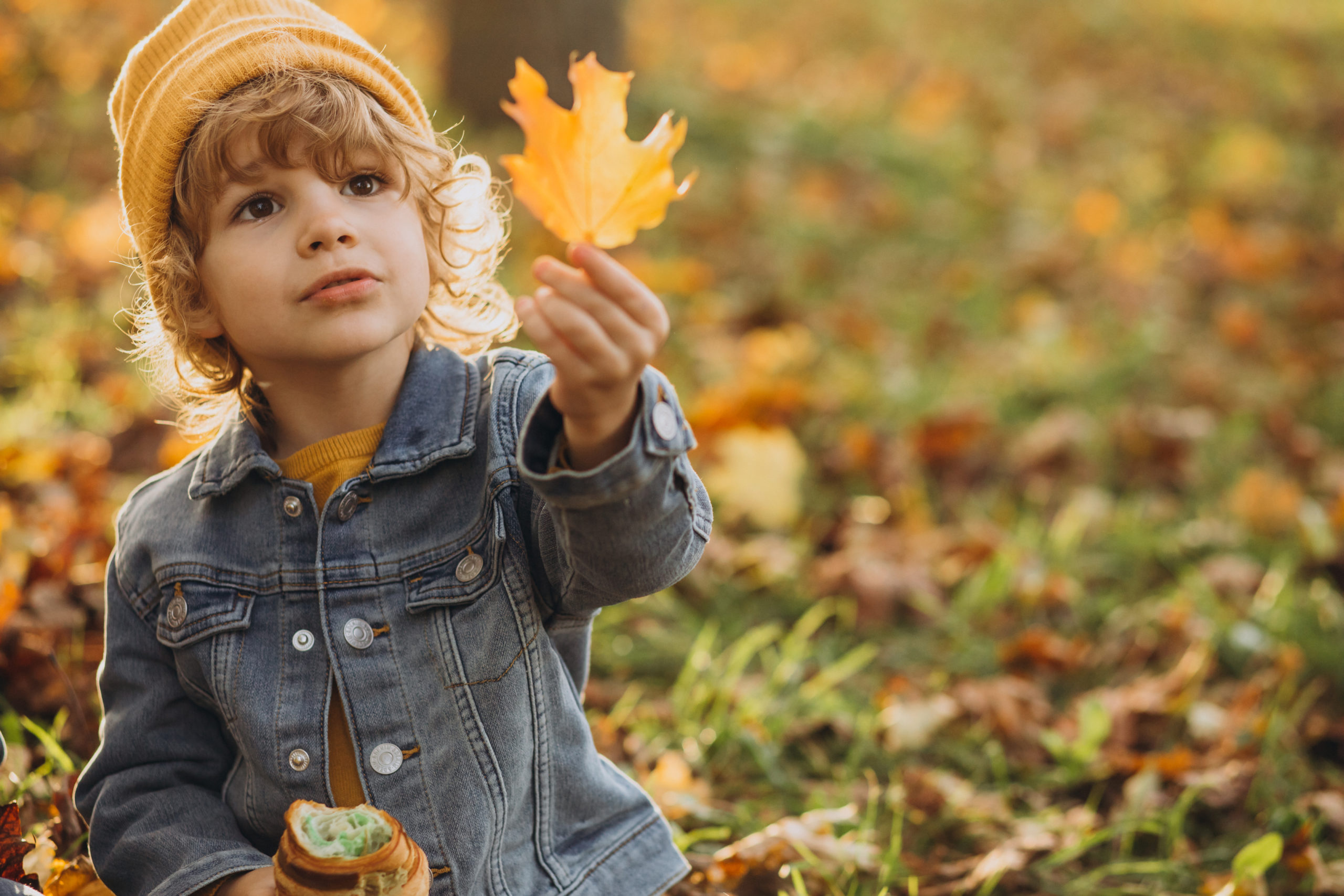 Quiz o jesieni dla dzieci, darmowe testy wiedzy o jesieni z odpowiedziami
