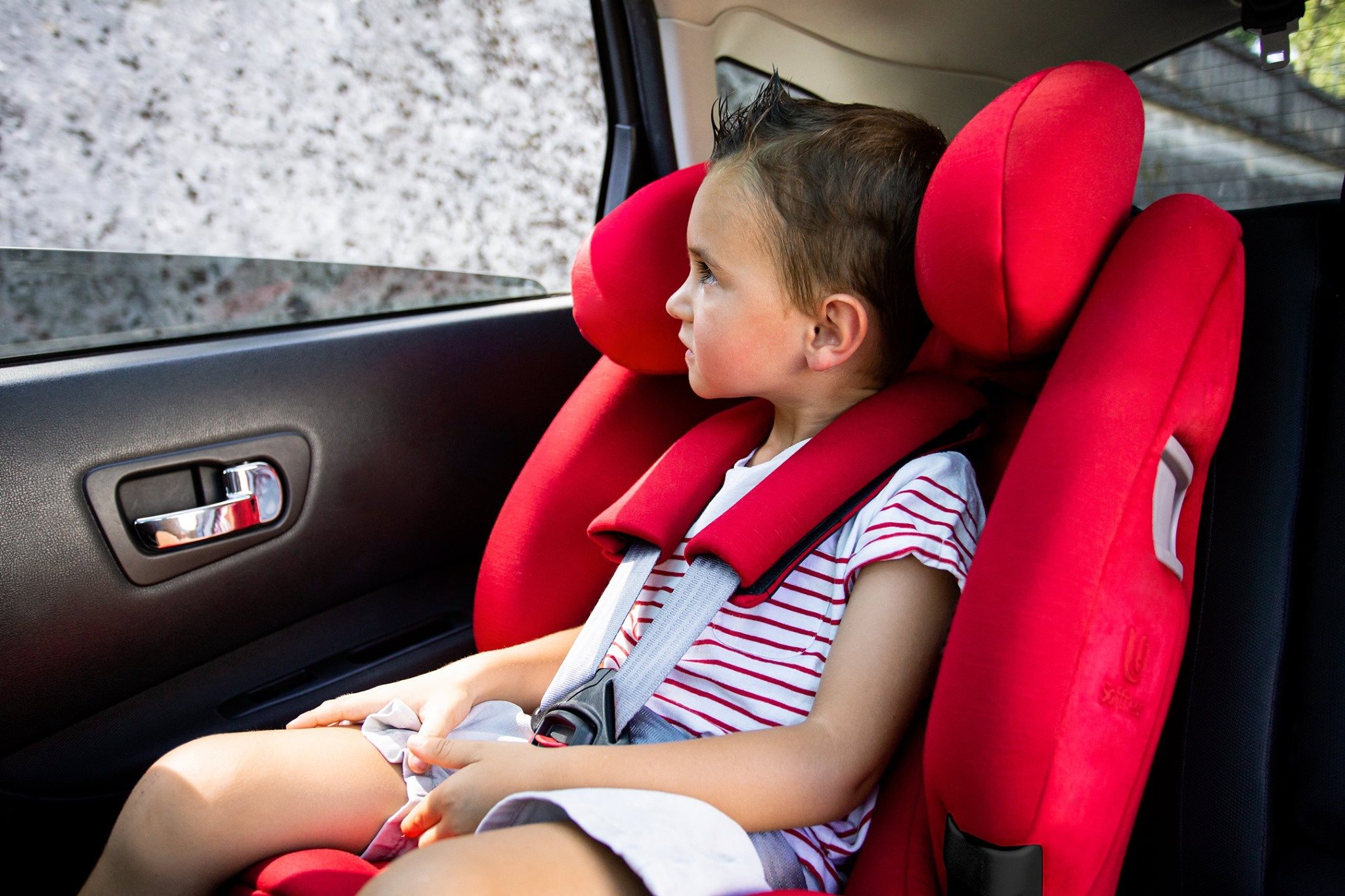 dziewczynka siedzi w czerwonym foteliku samochodowymfirmy Renolux