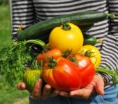 Vegetables - warzywa - quiz z angielskiego