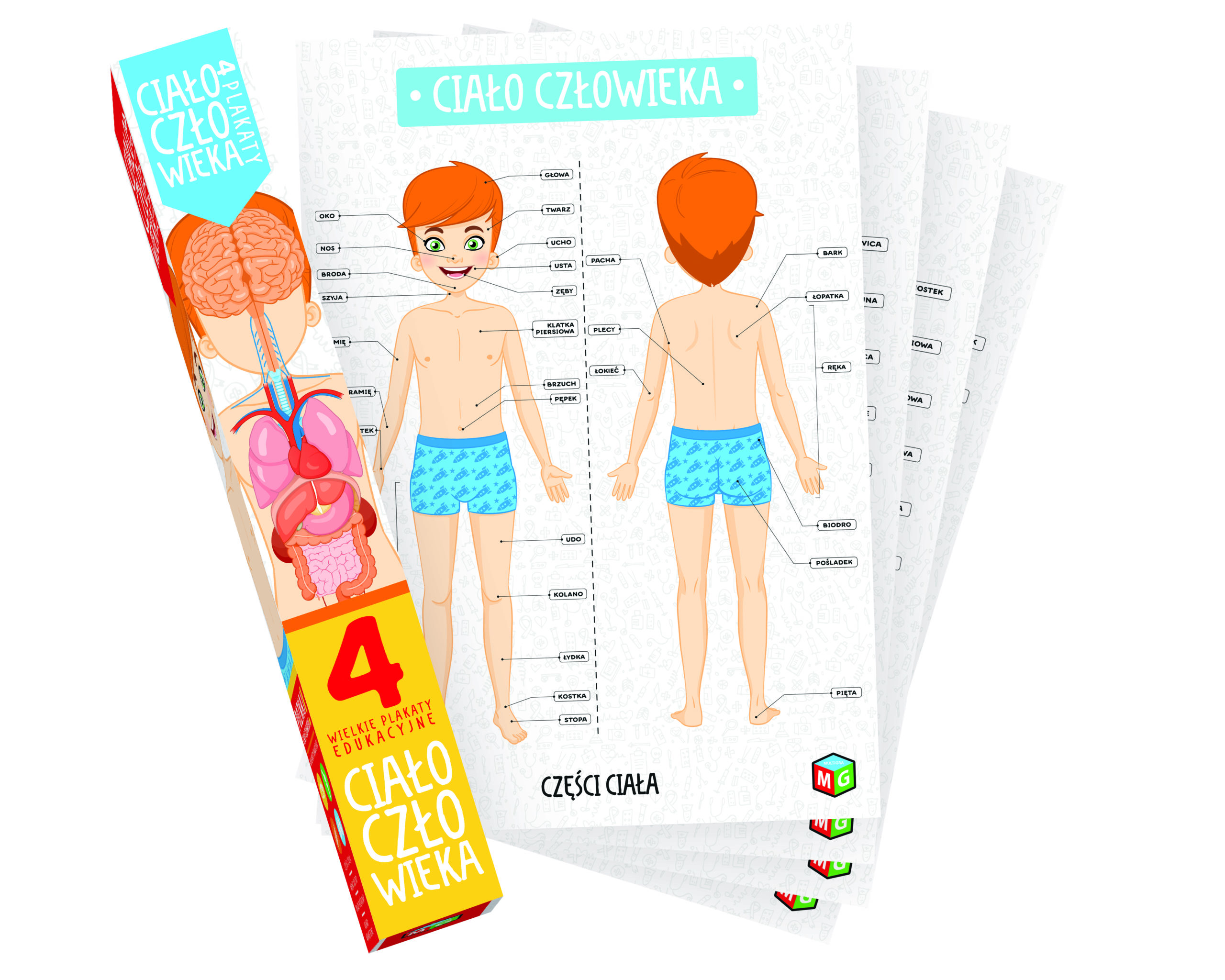 Ciało czlowieka plakaty – Wydarzenia, imprezy dla dzieci Miastodzieci.pl