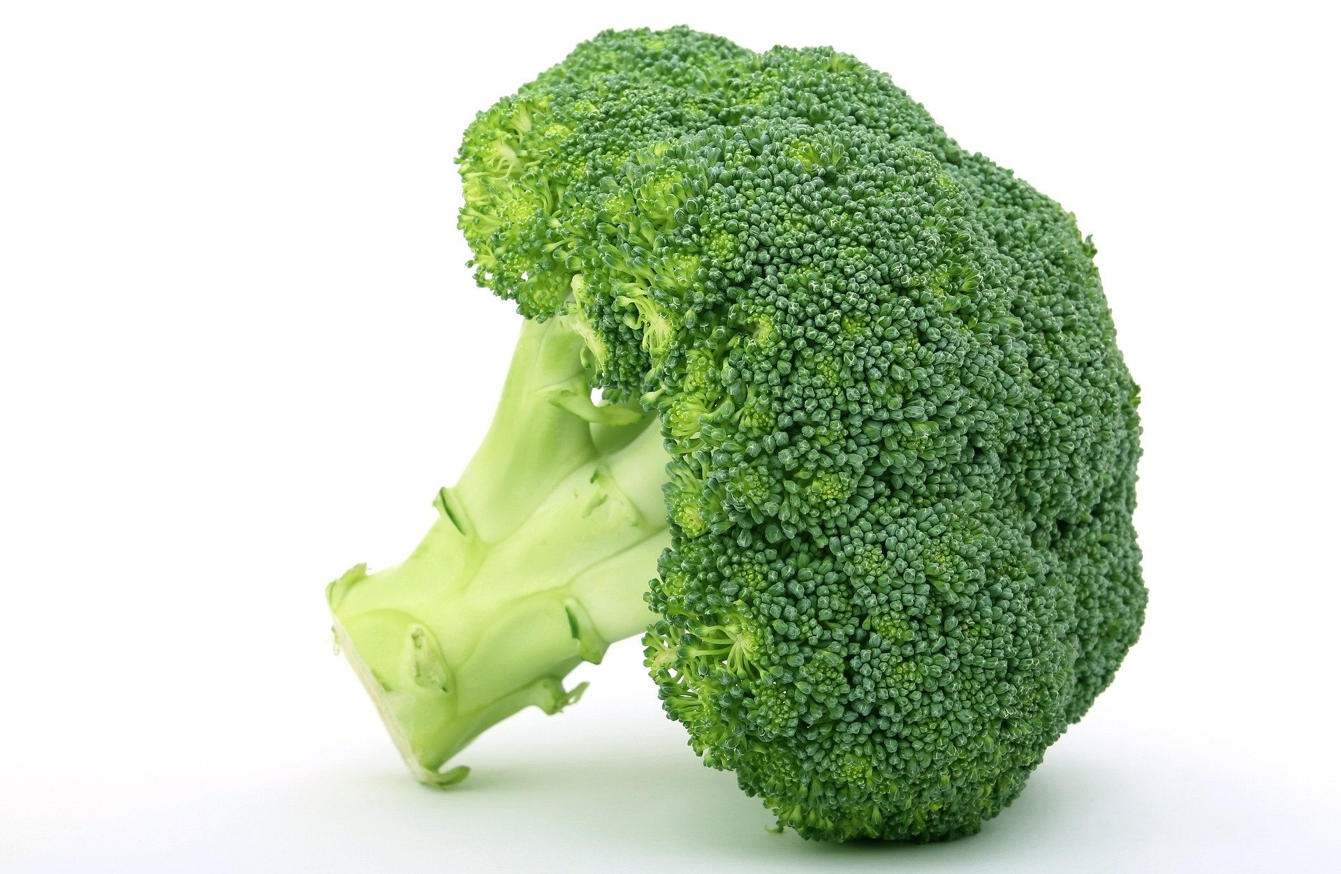quiz z hiszpańskiego warzywa verdura test wiedzy łatwy brokuły brecoles