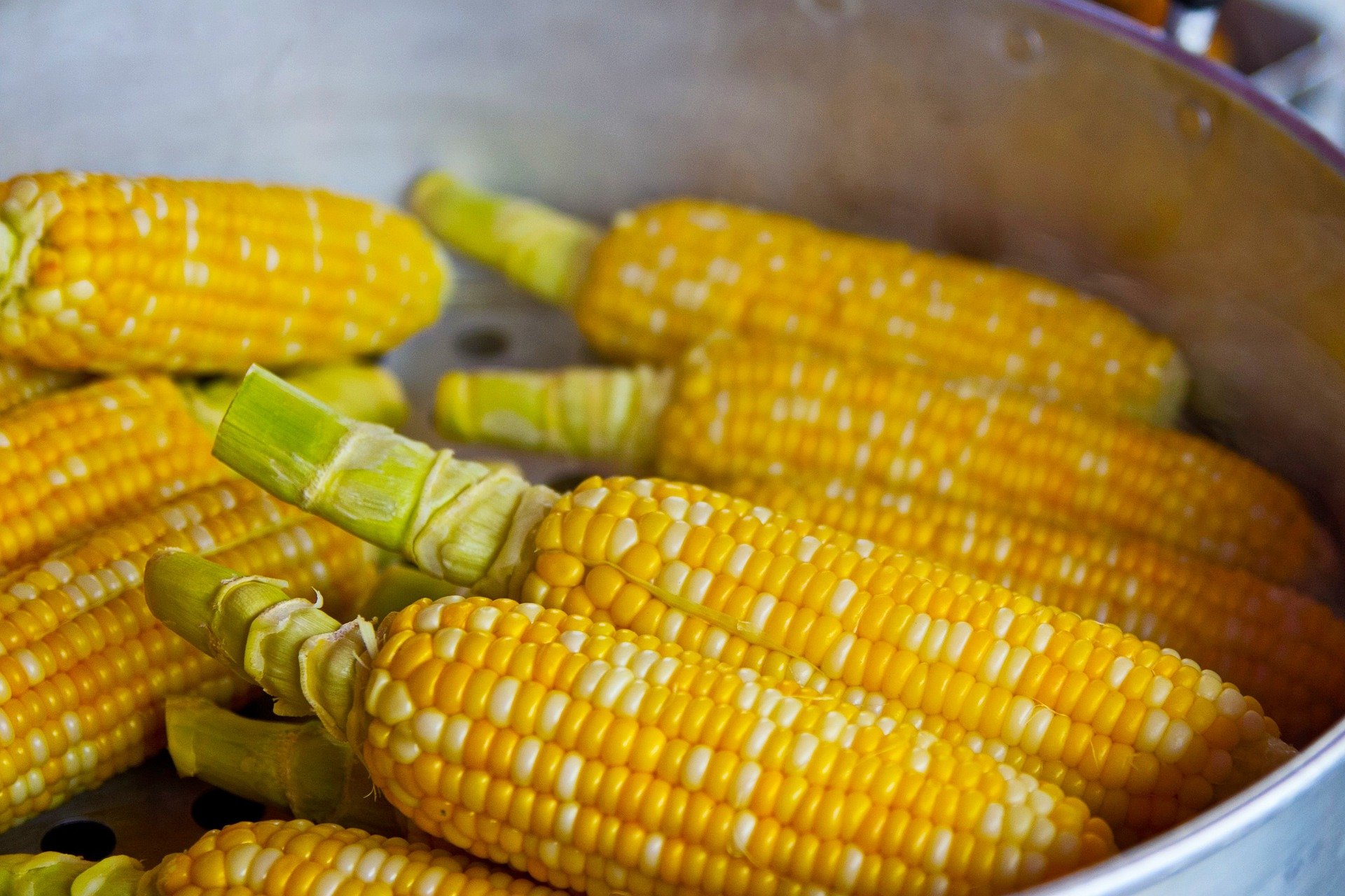 quiz z hiszpańskiego warzywa verdura test wiedzy łatwy kukurydza maíz