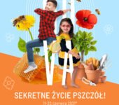 Wystawa Sekretne życie pszczół w NoVa Park