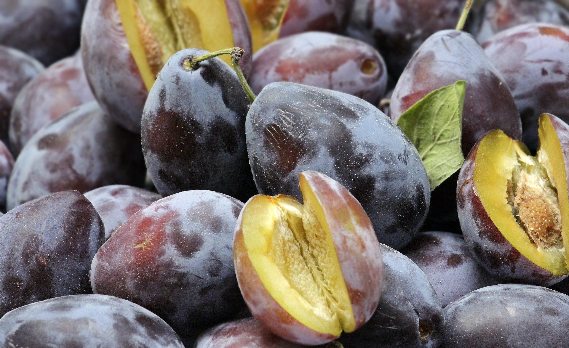quiz z hiszpańskiego owoce frutas test wiedzy łatwy śliwka ciruela
