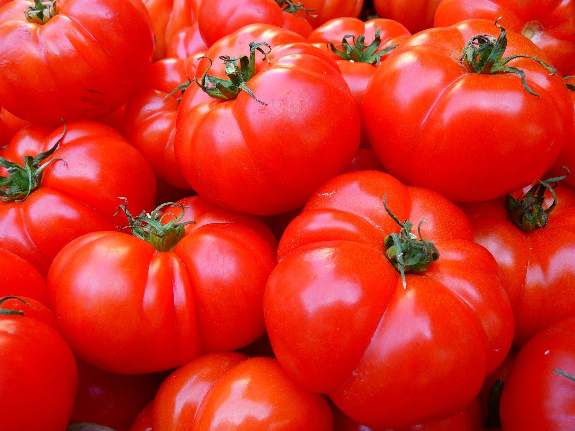 quiz z hiszpańskiego warzywa verdura test wiedzy łatwy tomate pomidor