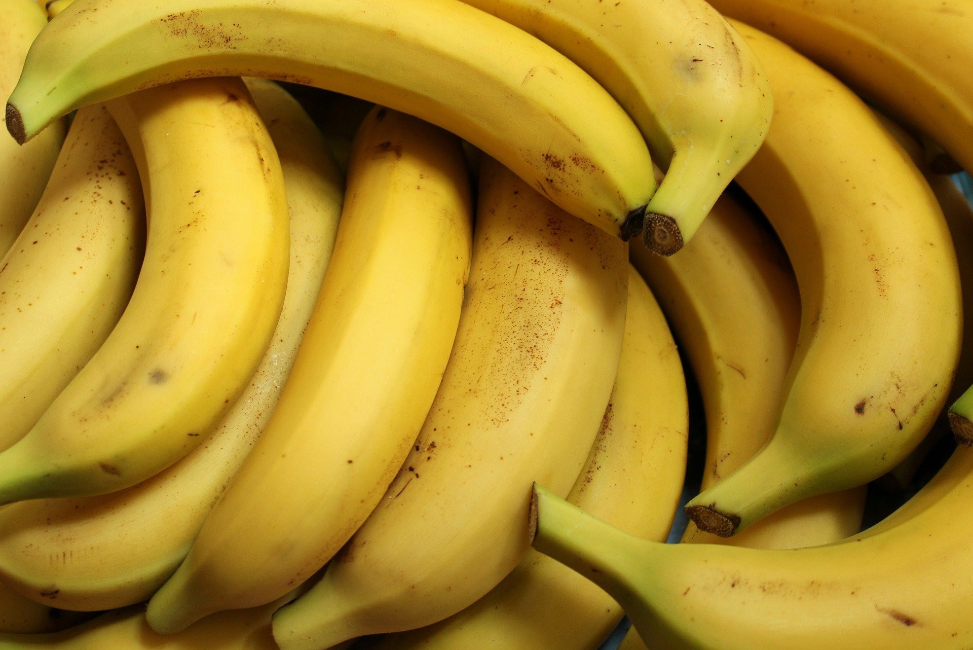 owoce quiz wiedzy dla maluszków najmłodszych przedszkolaków nauka słownictwo po polsku banan