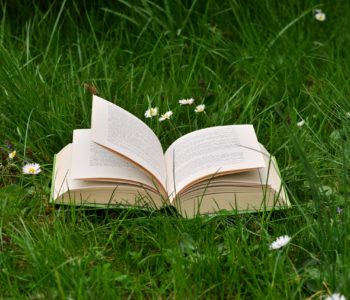 Czytanie na trawie – wakacyjne spotkanie