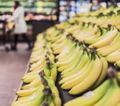 owoce quiz wiedzy dla maluszków najmłodszych przedszkolaków nauka słownictwo po polsku banany