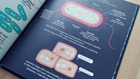 Ja i moje mikroby – recenzja książki o tym, z kim dzielimy ciało