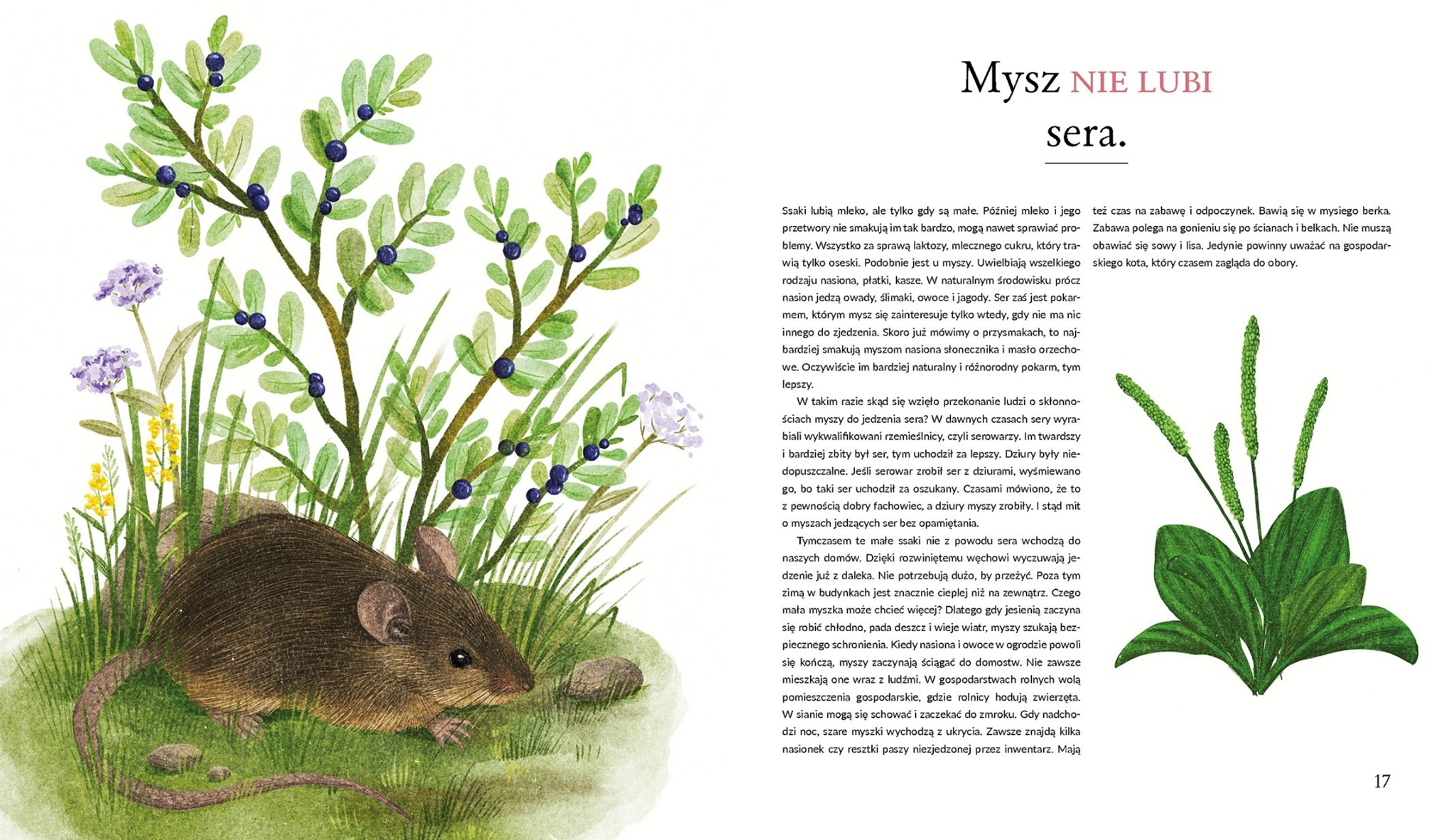 Plotki o zwierzętach - kolejna książka Marcina z Lasu