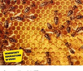 Sekrety Pszczół, czyli spotkanie z Pszczelarium w VIVO! Piła