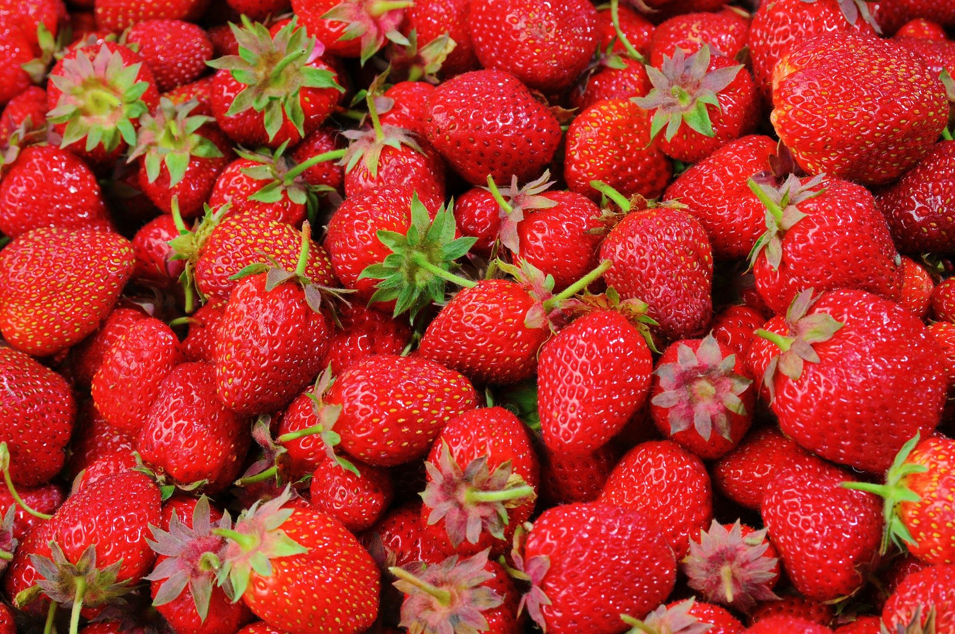 les fruits owoce quiz z francuskiego nauka języka zabawa dla maluszków przedszkole test wiedzy dzieci dwujęzyczne słówka słownictwo truskawka fraise