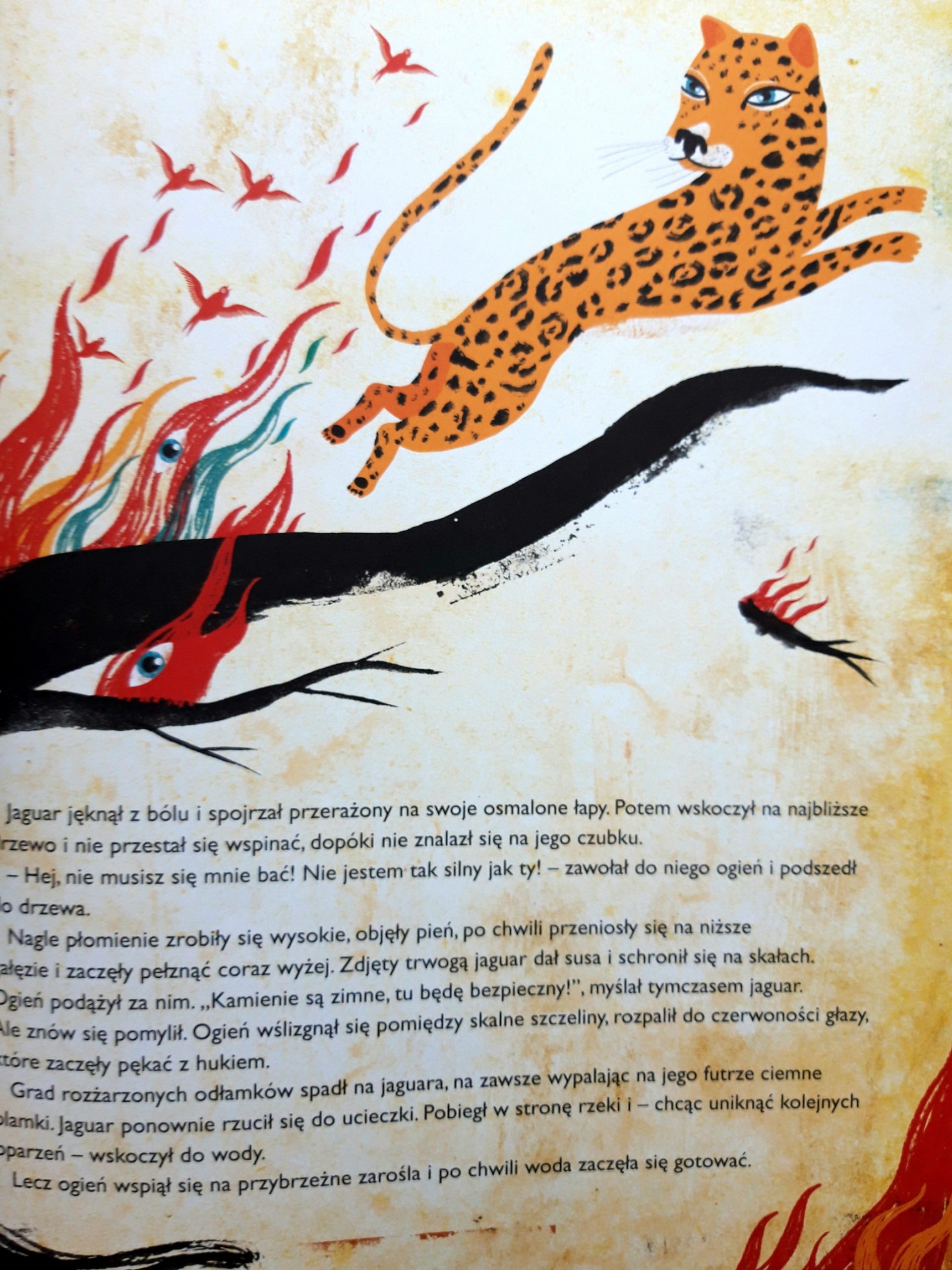 Recenzja ksiązki dla dzieci Bajki brazylijskie w rytm zaklęć