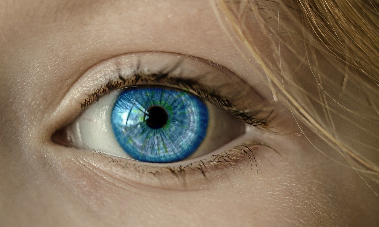 oko Ciało człowieka: quiz wiedzy