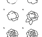 Jan narysować różę krok po kroku, szablony rysowania kwiatów dla dzieci