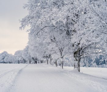 Zima – quiz wiedzy