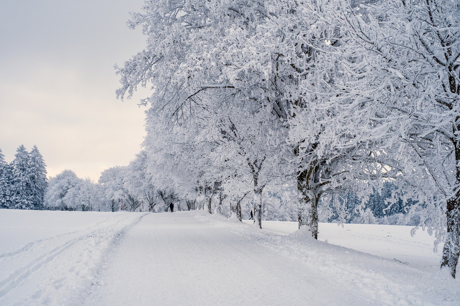 zima quiz wiedzy geografia narty sezon zimowy grudzień styczeń luty święta boże narodzenie