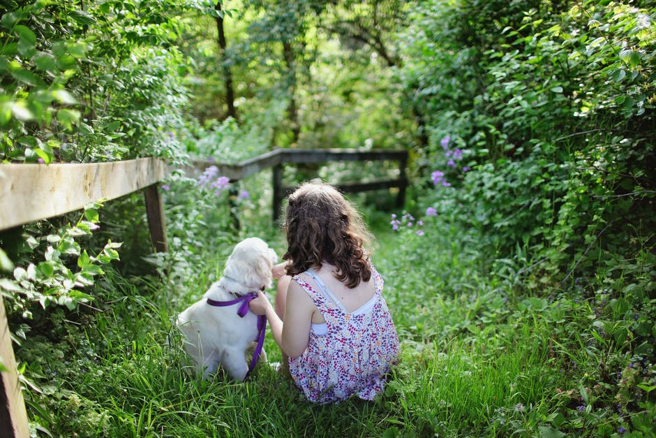 Pies i dzieci - zalety wychowania dziecka w towarzystwie czworonoga