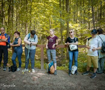 Jak używać lasu – szkolenie dla nauczycieli