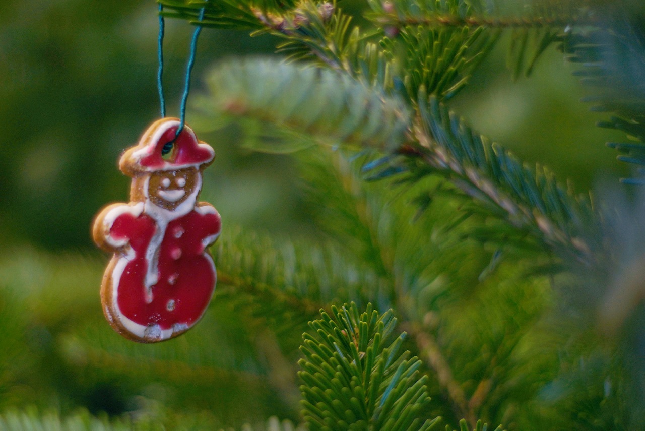 Zapach lasu – warsztaty z tworzenia kartki świątecznej z drewna