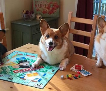 Monopoly – wygraj grę, którą uwielbia każdy! Konkurs świąteczny
