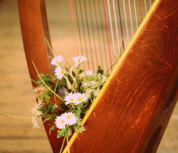 Familijny koncert noworoczny: Niezwykłe instrumenty – Harfa