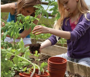 Ogrodnictwo balkonowe i doniczkowe – warsztaty dla dzieci