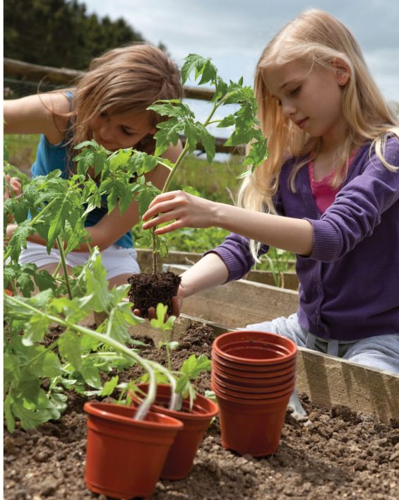Ogrodnictwo balkonowe i doniczkowe – warsztaty dla dzieci